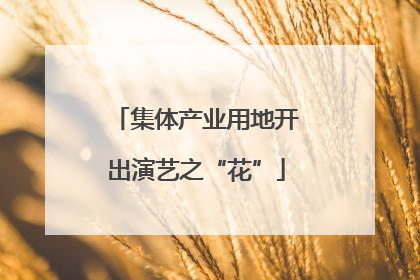 集体产业用地开出演艺之“花”
