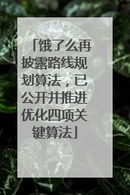 饿了么再披露路线规划算法，已公开并推进优化四项关键算法
