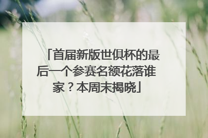首届新版世俱杯的最后一个参赛名额花落谁家？本周末揭晓