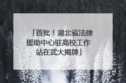 首批！湖北省法律援助中心驻高校工作站在武大揭牌