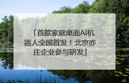 首款家庭桌面AI机器人全国首发！北京亦庄企业参与研发