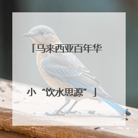 马来西亚百年华小“饮水思源”