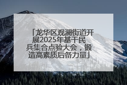 龙华区观澜街道开展2025年基干民兵集合点验大会，锻造高素质后备力量