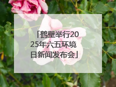 鹤壁举行2025年六五环境日新闻发布会