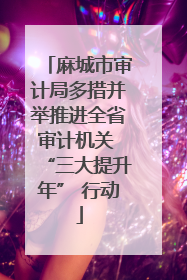麻城市审计局多措并举推进全省审计机关 “三大提升年” 行动