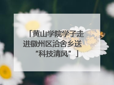 黄山学院学子走进徽州区洽舍乡送“科技清风”