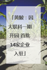 黄陂：因大联科一期开园 首批14家企业入驻
