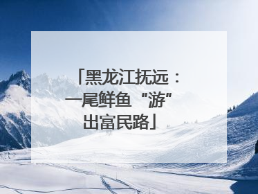 黑龙江抚远：一尾鲜鱼“游”出富民路