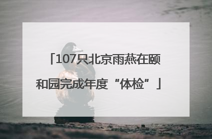 107只北京雨燕在颐和园完成年度“体检”