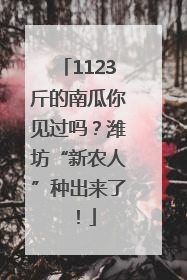 1123斤的南瓜你见过吗？潍坊“新农人”种出来了！