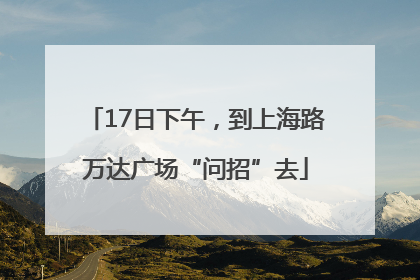 17日下午，到上海路万达广场“问招”去