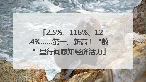 2.5%、116%、12.4%……第一、新高！“数”里行间感知经济活力