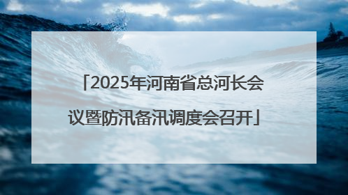 2025年河南省总河长会议暨防汛备汛调度会召开