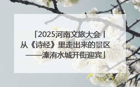 2025河南文旅大会丨从《诗经》里走出来的景区——溱洧水城开街迎宾