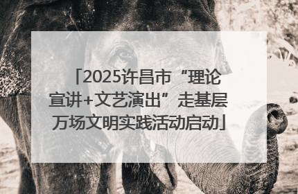 2025许昌市“理论宣讲+文艺演出”走基层万场文明实践活动启动