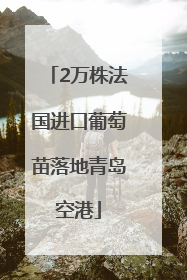 2万株法国进口葡萄苗落地青岛空港