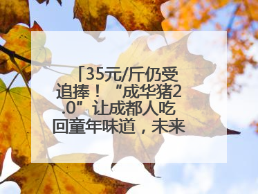 35元/斤仍受追捧！“成华猪2.0”让成都人吃回童年味道，未来或多种定价并行