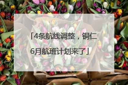 4条航线调整，铜仁6月航班计划来了