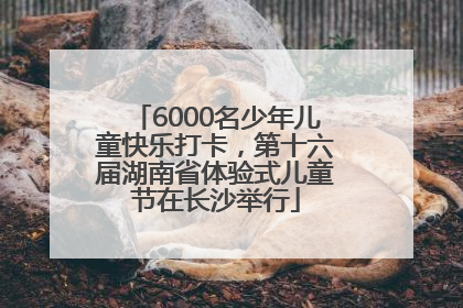 6000名少年儿童快乐打卡，第十六届湖南省体验式儿童节在长沙举行