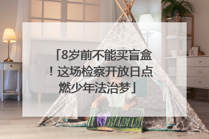 8岁前不能买盲盒！这场检察开放日点燃少年法治梦