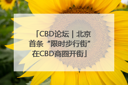 CBD论坛｜北京首条“限时步行街”在CBD商圈开街