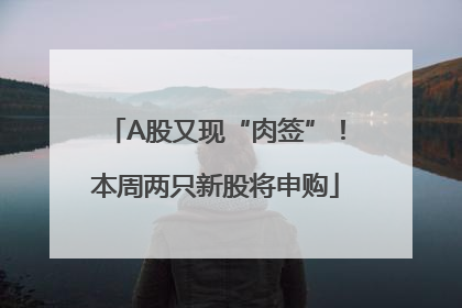 A股又现“肉签”！本周两只新股将申购